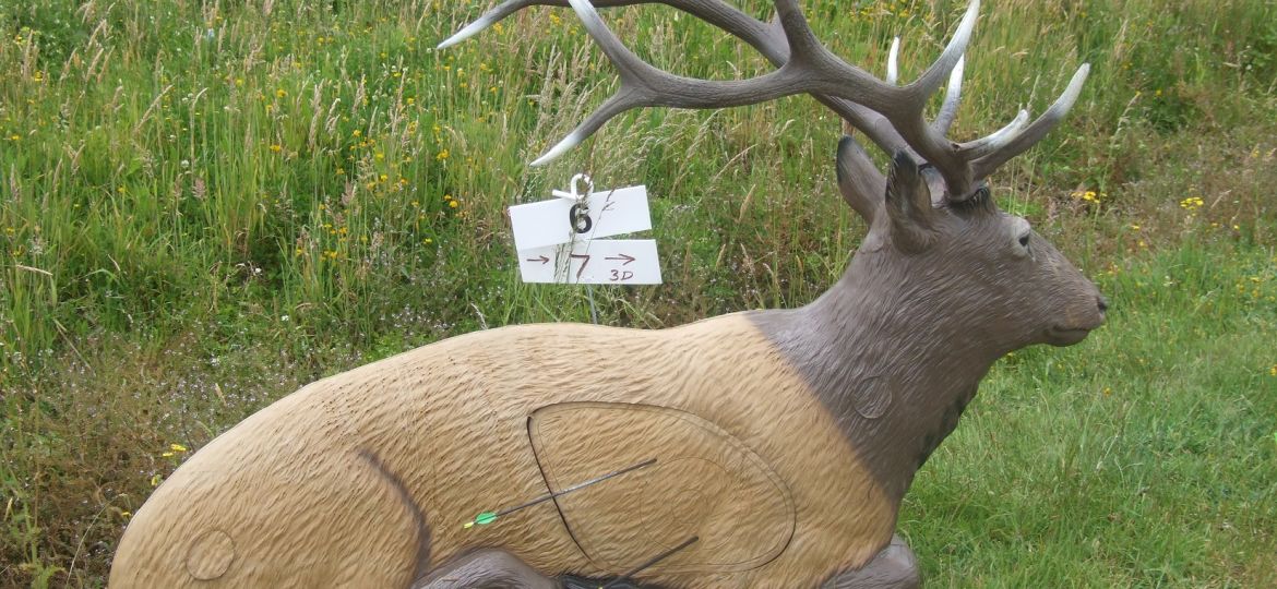 3D archery target