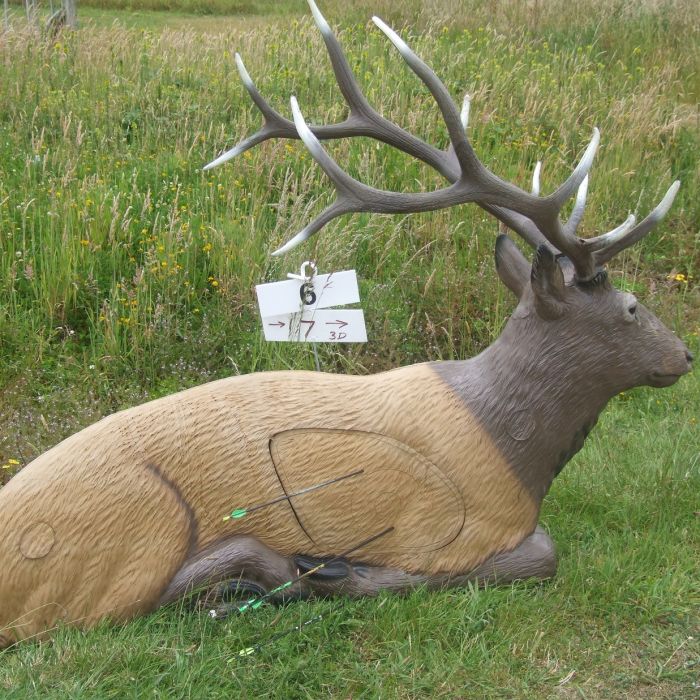 Selection of Team to compete at the World Archery 3D Championships